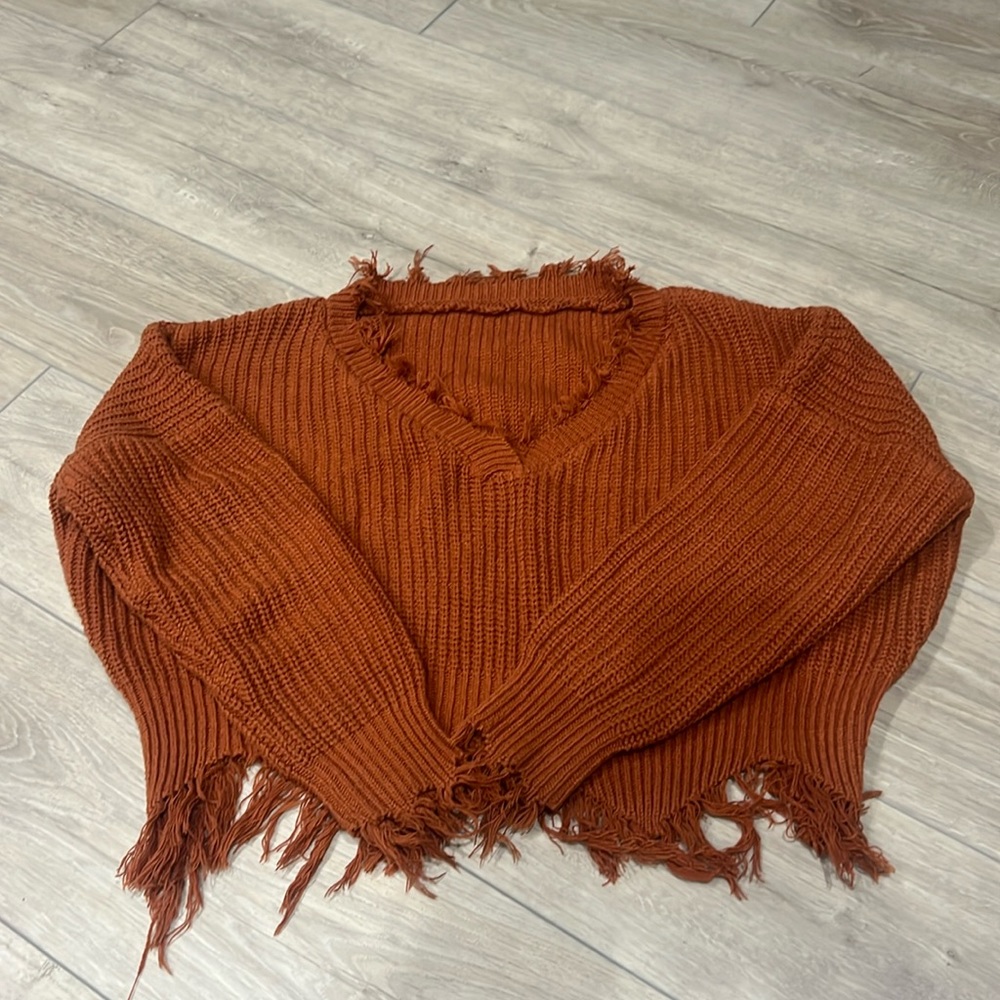 New without tags cropped sweater